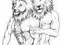 cs-damngaylion10-06.jpg